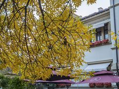 -天津意大利风情旅游区