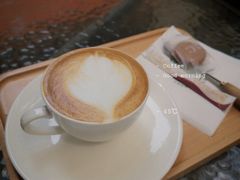 澳白-树咖啡tree coffee