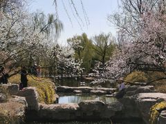 -北京植物园南门售票处