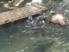 -香港海洋公园