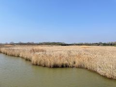 -东滩湿地公园观海楼餐厅