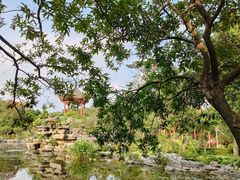 -顺峰山公园