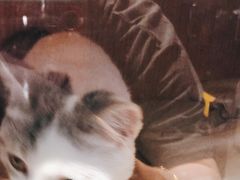 -火星工厂·桌游·团建聚会·轰趴馆(厦滘店)