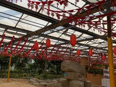 -南宫五洲植物乐园