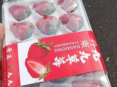 -西郊国际农产品交易中心