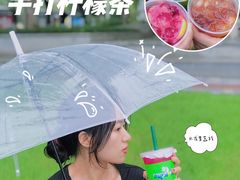 -小柠快跑·手打柠檬茶(万松园店)