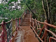 -千岛湖石林