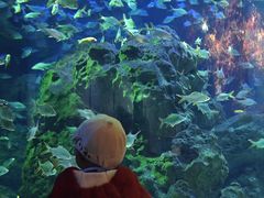 -成都浩海立方海洋公园