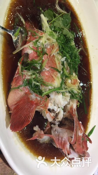 煌—海鲜牛肉火锅专卖店清蒸野生红瓜子斑图片 - 第119张
