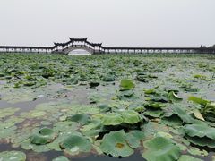 -苏州人家(锦溪镇店)