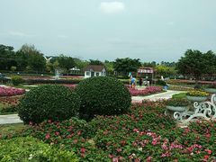 -广东花都香草世界旅游度假区