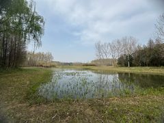 -溱湖国家湿地公园