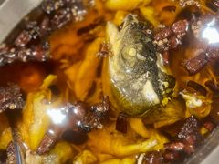 -鑫巴蜀小镇 · 水煮鱼专研店(玉桥店)