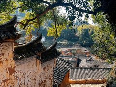 -杨家堂村
