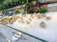-川骄海鲜自助(河东店)