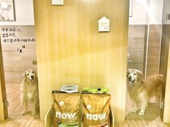 -Double Rui宠物酒店