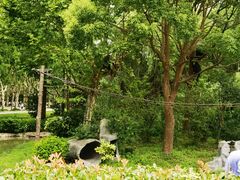 -上海野生动物园