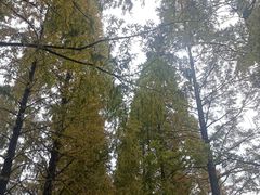 -食膳公园包子铺(烈士公园店)