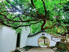 -深圳国际园林花卉博览园