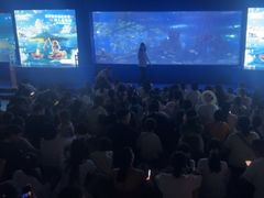 -重庆欢乐海底世界
