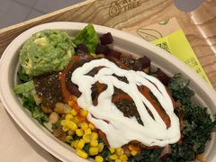 -油梨树 AVOCADO TREE(亮马桥店)