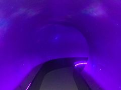 -苏州青少年科技馆