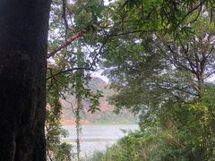 -羚羊峡古栈道森林公园