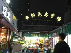 -曲阳花鸟市场(曲阳路店)