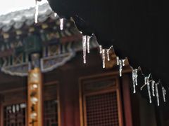 -泰山风景名胜区-普照寺