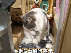 -解忧集市(北京路天河城店)