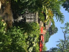 清迈四季酒店-清迈四季酒店
