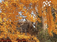 -青岛崂山太清宫
