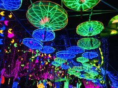 景点-惠州西湖