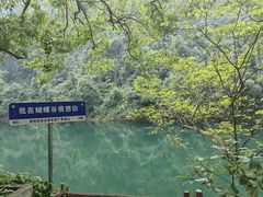 -鼎湖山风景区
