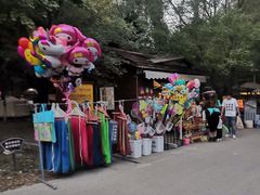 -长白岛森林公园