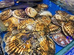 -添福来墨鱼饺子 · 海鲜东北菜(大连星海·黄浦路店)