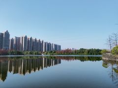 -成都南湖公园