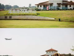 -空港花田景区