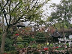 -豫园