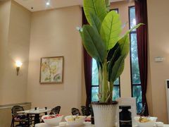 -海南椰子鸡餐厅(三亚湾红树林店)