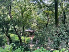 -句容茅山景区