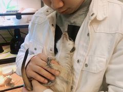 -藦茜花园宠物主题亲子互动体验馆(国顺东路店)