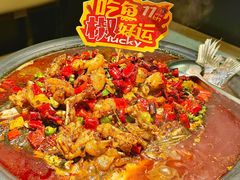 -探鱼·鲜青椒爽麻烤鱼(朝阳悠唐广场店)