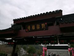 -香雪海