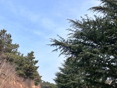 -太和山风景区