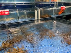 -阳江餐厅·30年老字号·粤菜海鲜大排档