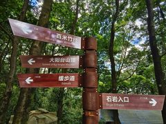 -阳台山森林公园