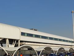 -吴淞口国际邮轮码头-停车场