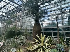 -南山植物园