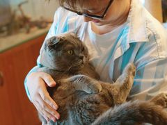 大堂-喵园·猫主题咖啡厅·撸猫·猫咖(国贸店)